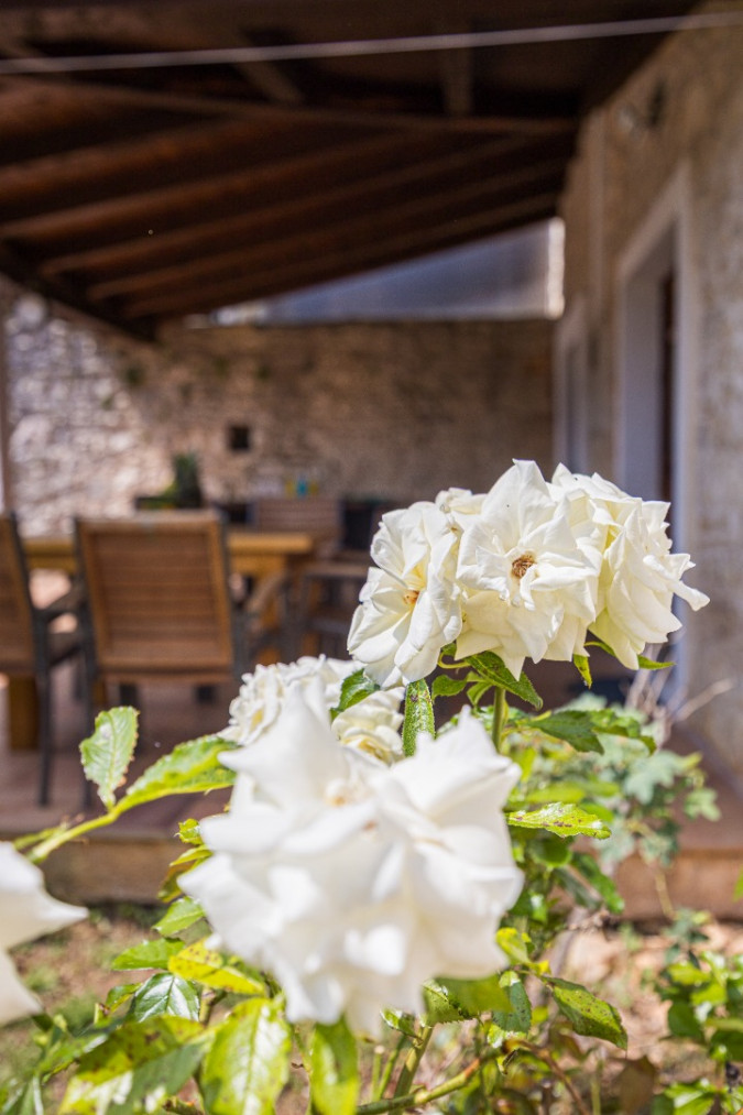 Exterior, Villa Barbara &ndash; A complex of 3 houses with a shared courtyard and pool, Orihi &ndash; Istria, Croatia Orihi