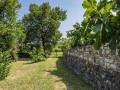 Exterior, Villa Barbara – A complex of 3 houses with a shared courtyard and pool, Orihi – Istria, Croatia Orihi