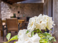 Exterior, Villa Barbara – A complex of 3 houses with a shared courtyard and pool, Orihi – Istria, Croatia Orihi